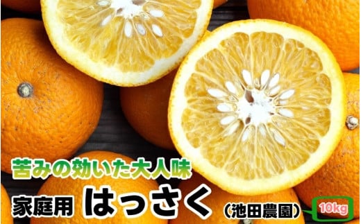 はっさく 10kg+250g（痛み補償分） 家庭用 光センサー / 八朔 訳あり 甘い 和歌山 有田 柑橘 ※1月上旬〜4月上旬頃に順次発送予定 ※北海道・沖縄・離島への配送不可 【ikd021-c-10A】