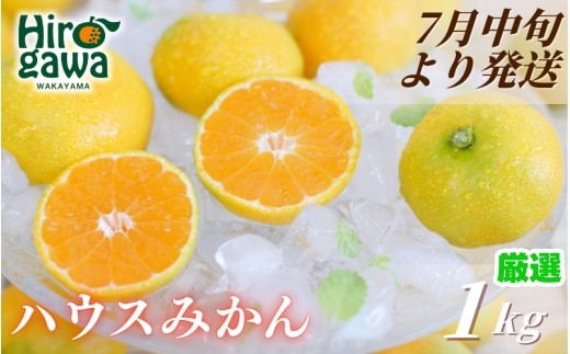 ハウスみかん 1kg+250g(傷み補償) 厳選 / ハウスミカン 温室みかん 有田みかん 甘い 和歌山 柑橘 ※7月中旬～8月下旬に順次発送 ※北海道・沖縄・離島への配送不可 【ikd002-p-1A】