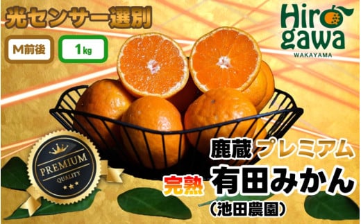 鹿蔵 プレミアム 有田みかん ( 完熟 ) 1kg+250g（傷み補償分） 光センサー 選果　※北海道・沖縄・離島への配送不可 / 温州 みかん 厳選 柑橘 果物 フルーツ 和歌山 【ikd004-prem-1】