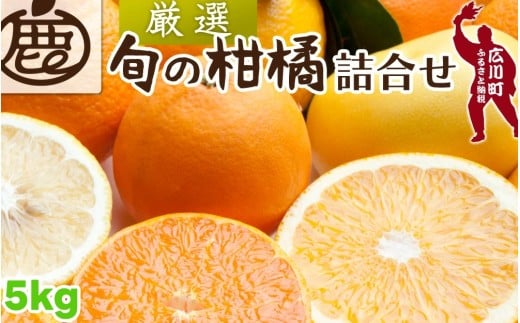 柑橘 詰合せ 5kg+250g（痛み補償分） 厳選 光センサー / 高級 みかん 不知火 清見 八朔 伊予間 セミノール レモン ３種類以上 詰め合わせ 晩柑 ※1月上旬～6月上旬頃に順次発送 ※北海道・沖縄・離島への配送不可 【ikd049-p-5B】