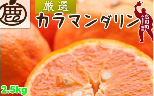 カラマンダリン 2.5kg+250g（痛み補償分） 厳選 / カラ カラオレンジ カラみかん 南津海 なつみ 高級 和歌山 有田 柑橘 晩柑 ※4月上旬～5月順次発送 ※北海道・沖縄・離島への配送不可 【ikd015-p-2d5A】