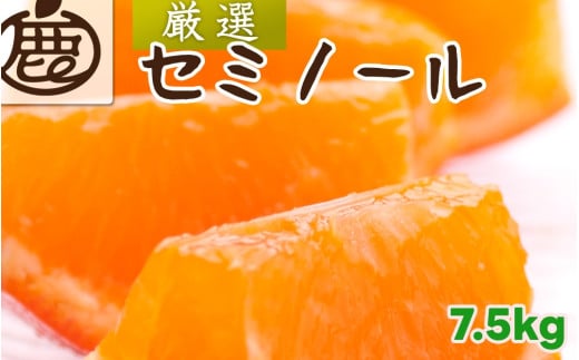 セミノール オレンジ 厳選 7.5kg+250g（痛み補償分） 光センサー / みかん 甘い 高級 柑橘 晩柑 和歌山 有田 ※4月上旬～6月下旬ごろに順次発送 ※北海道・沖縄・離島への配送不可 【ikd016-p-7d5B】