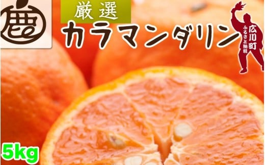 カラマンダリン 5kg+250g（痛み補償分） 厳選 / カラ カラオレンジ カラみかん 南津海 なつみ 高級 和歌山 有田 柑橘 晩柑 ※4月上旬～5月順次発送 ※北海道・沖縄・離島への配送不可 【ikd015-p-5B】
