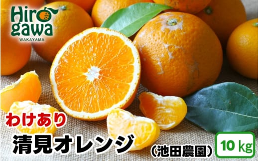 清見 オレンジ 家庭用 10kg+250g（痛み補償分） 光センサー / 訳あり 清見オレンジ 清見タンゴール きよみ 清美 甘い 和歌山 柑橘 ※2月上旬～6月上旬に順次発送 ※北海道・沖縄・離島への配送不可 【ikd011-c-10】