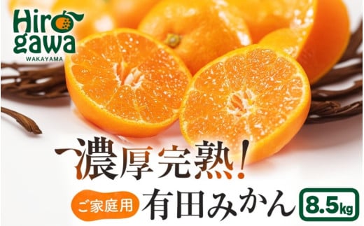 《先行予約》 有田育ちの ご家庭用 完熟 有田みかん 8.5kg+200g 農家直送 わけあり 訳あり ※12月上旬から下旬頃に順次発送予定 / 温州みかん みかん フルーツ 果物  柑橘 くだもの 人気 和歌山 【配送不可地域：北海道・離島・沖縄県】【ard004-c-8d5-12C】