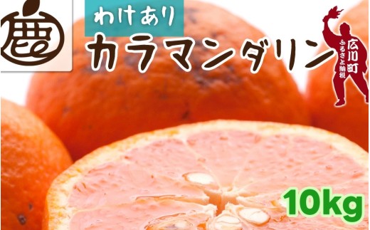 カラマンダリン 10kg+250g （痛み補償分） 家庭用 / カラ カラオレンジ カラみかん 南津海 なつみ 訳あり 和歌山 有田 柑橘 晩柑 ※4月上旬〜5月順次発送 ※北海道・沖縄・離島への配送不可 【ikd015-c-10】