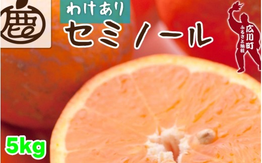 セミノール オレンジ 家庭用 5kg+250g（痛み補償分） 光センサー / みかん 甘い 訳あり 柑橘 晩柑 和歌山 有田 ※4月上旬～6月下旬ごろに順次発送 ※北海道・沖縄・離島への配送不可 【ikd016-c-5】