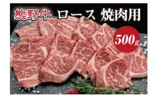 ▼特選黒毛和牛 熊野牛 焼肉用ロース　約500g 【mtf310-lo-500B】