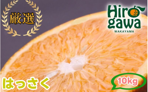 はっさく 10kg+250g（痛み補償分） 厳選 光センサー / 八朔 高級 甘い 和歌山 有田 柑橘 ※1月上旬〜4月上旬頃に順次発送予定 ※北海道・沖縄・離島への配送不可 【ikd021-p-10A】