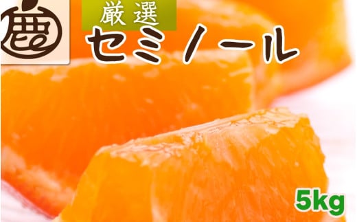 セミノール オレンジ 厳選 5kg+250g（痛み補償分） 光センサー / みかん 甘い 高級 柑橘 晩柑 和歌山 有田 ※4月上旬～6月下旬ごろに順次発送 ※北海道・沖縄・離島への配送不可 【ikd016-p-5B】