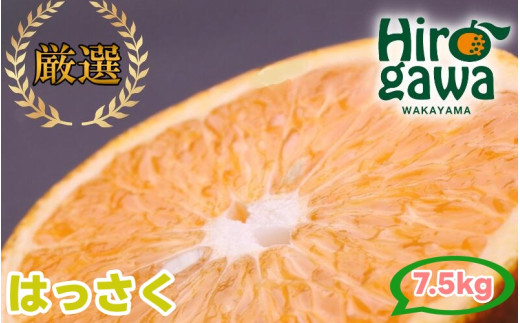 はっさく 7.5kg+250g（痛み補償分） 厳選 光センサー / 八朔 高級 甘い 和歌山 有田 柑橘 ※1月上旬〜4月上旬頃に順次発送予定 ※北海道・沖縄・離島への配送不可 【ikd021-p-7d5】