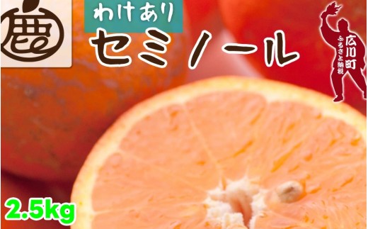 セミノール オレンジ 家庭用 2.5kg+250g（痛み補償分） 光センサー / みかん 甘い 訳あり 柑橘 晩柑 和歌山 有田 ※4月上旬～6月下旬ごろに順次発送 ※北海道・沖縄・離島への配送不可 【ikd016-c-2d5】