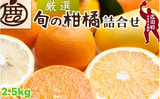 柑橘 詰合せ 2.5kg+250g（痛み補償分） 厳選 光センサー / 高級 みかん 不知火 清見 八朔 伊予間 セミノール レモン ３種類以上 詰め合わせ 晩柑 ※1月上旬～6月上旬頃に順次発送 ※北海道・沖縄・離島への配送不可 【ikd049-p-2d5A】