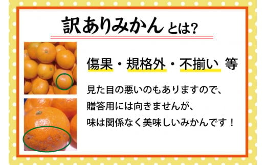 ▼【訳あり】農家直送 有田みかん 約10kg ご家庭用 サイズ混合 ※11月中旬から1月中旬までに順次発送予定 ※北海道・沖縄・離島への配送不可 【nuk004-noka-c10B】