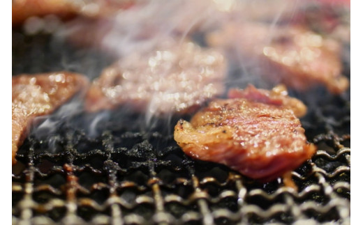 ▼熊野牛 希少部位 カイノミ・ササミ 焼肉用 500g　【mtf310-ks-500C】