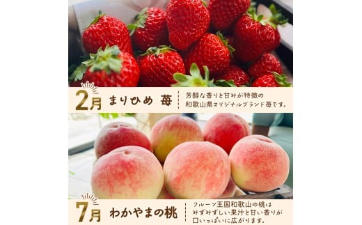 ããã㟠æ¬ã® ãã«ãŒã å®æäŸ¿ å
š4å / æç°ã¿ãã ãŸãã²ã ãã¡ã æ¡ æ¿ â»åæµ·éã»æ²çžã»é¢å³¶ãžã®é
éäžå¯ ãard050-sf4Aã