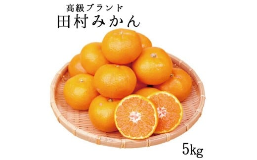 【全3回定期便】 フルーツ大国 和歌山 よりお届け！旬の フルーツ 定期便 B【田村みかん・まりひめ・紀州デコ】 / みかん いちご 甘い 定期便 ※離島配送不可