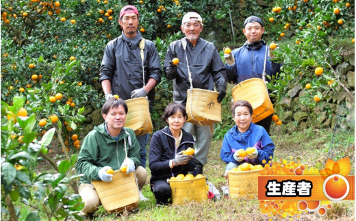 鹿蔵の 有田みかん 家庭用 わけあり 7.5kg+250g(痛み補償) 小さな (S以下) 先行予約 光センサー選果　※北海道・沖縄・離島への配送不可 / 温州みかん 痛み補償 果物 フルーツ くだもの 【ikd004-cs-7d5-nov】