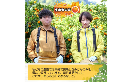 ▼久幸園 完熟 清見オレンジ 1.5kg (サイズ混合) ※4月上旬より順次発送予定 【hsk009-r-1d5】