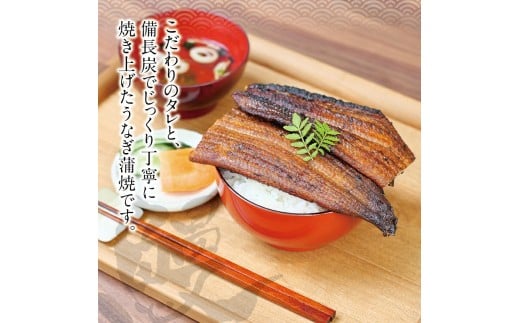 うなぎ 蒲焼き  ( 国産 ) 紀州備長炭で焼き上げ無添加 / 鰻 国産 うなぎ蒲焼き うな丼 うな重【fki205-200g-2】