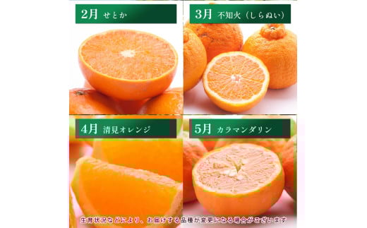 【奇数月】柑橘 定期便 M 家庭用【全6回】【和歌山】 ※北海道・沖縄・離島への配送不可 / 定期便 フルーツ はっさく せとか 不知火 清見オレンジ カラマンダリン みかんゼリー ハウスみかん ゆら早生 有田みかん 6回 //teiki 【ikd050-mkisu-c】