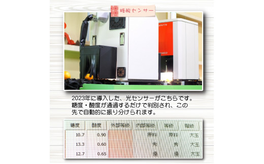 ＼光センサー選別／有田みかん 極 プレミアム 2.5kg (2S～Lサイズ) ※11月下旬～翌年1月上旬頃に順次発送予定 ※北海道・沖縄・離島への配送不可 / 温州みかん みかん 高糖度 柑橘 果物 フルーツ 【nuk004-p-2d5】