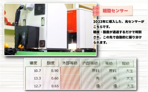 不知火（デコポン）10kg （サイズ混合） ※2月中旬～4月中旬に順次発送予定 ※北海道・沖縄・離島への配送不可 / しらぬい 柑橘類 果物 和歌山 有田 広川【nuk010-c-10B】