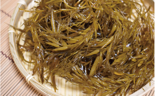 ［由良町産］ 紀州 あかもく 由良町産 100g×10パック 2025年産/ 海藻 フコイダン もずく 【sml214-100-10B】