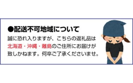 厳選 清見 オレンジ 2kg+60g（痛み補償分）【光センサー食頃出荷】【樹上完熟きよみオレンジ・清見タンゴール・清美】 ※北海道・沖縄・離島への配送不可【ikd011-p-2A】