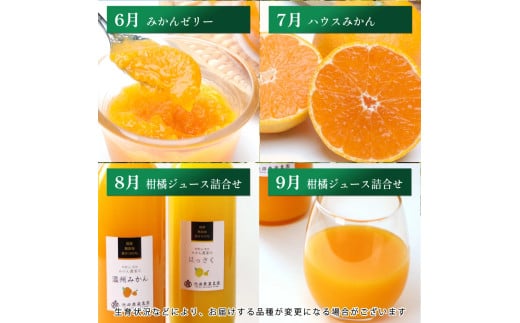 【奇数月】柑橘 定期便 M 家庭用【全6回】【和歌山】 ※北海道・沖縄・離島への配送不可 / 定期便 フルーツ はっさく せとか 不知火 清見オレンジ カラマンダリン みかんゼリー ハウスみかん ゆら早生 有田みかん 6回 //teiki 【ikd050-mkisu-c】