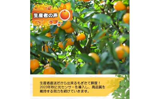 【先行予約】極早生 みかん 家庭用 4kg / 極早生みかん 温州みかん 甘い 家庭用 和歌山 柑橘 ※2026年10月上旬～11月上旬順次発送 ※北海道・沖縄・離島への配送不可 【nuk003-r-4A】