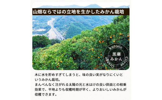 ▼有田みかん 10kg 家庭用 頑固オヤジのこだわりみかん　※11月中旬～翌年1月上旬頃に順次発送予定 【krf004-c-10A】