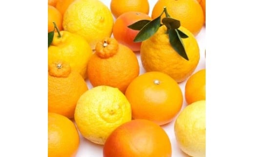 ææ© è©°åã 2.5kg+250gïŒçã¿è£ååïŒ å³éž å
ã»ã³ãµãŒ / é«çŽ ã¿ãã äžç¥ç« æž
èŠ å
«æ äŒäºé ã»ãããŒã« ã¬ã¢ã³ ïŒçš®é¡ä»¥äž è©°ãåãã æ©æ â»1æäžæ¬ïœ6æäžæ¬é ã«é 次çºé â»åæµ·éã»æ²çžã»é¢å³¶ãžã®é
éäžå¯ ãikd049-p-2d5Aã