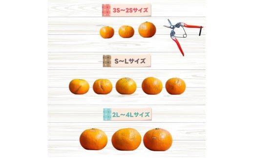 カラマンダリン 2.5kg+250g（痛み補償分） 厳選 / カラ カラオレンジ カラみかん 南津海 なつみ 高級 和歌山 有田 柑橘 晩柑 ※4月上旬～5月順次発送 ※北海道・沖縄・離島への配送不可 【ikd015-p-2d5A】