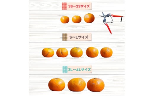 ãå®¶åºçšã ã¯ãã¿ 1kg+250gïŒçã¿è£ååïŒå
ã»ã³ãµãŒéžå¥ / èš³ãã æç° ã¿ãã ææ© èæ ãã ãã® æç© æå® ãã«ãŒã åæå±± ãã³ãã³ ã®å§åйåçš® â»2æäžæ¬ïœ3æäžæ¬é ã«é 次çºéäºå® â»åæµ·éã»æ²çžã»é¢å³¶é
éäžå¯ ãikd013-c-1Aã