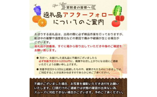 厳選 清見 オレンジ 2kg+60g（痛み補償分）【光センサー食頃出荷】【樹上完熟きよみオレンジ・清見タンゴール・清美】 ※北海道・沖縄・離島への配送不可【ikd011-p-2A】