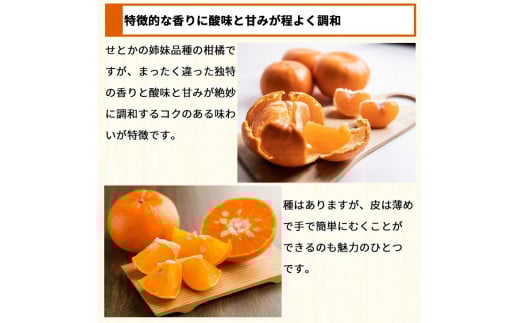 麗紅 （ れいこう ） 4kg / オレンジ 甘い 和歌山 有田 柑橘 ※2月中旬〜3月下旬に順次発送 【krw012-r-4】