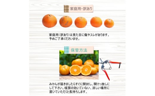 不知火 （ しらぬい ） 10kg+250g（痛み補償分） 家庭用 光センサー / デコポン 訳あり 甘い 和歌山 柑橘 ※2月上旬～3月下旬に順次発送 ※北海道・沖縄・離島への配送不可【ikd010-c-10C】