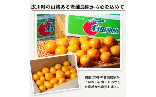 æç° ã¿ãã ç¹éž èµ€ç§ 5kg ã 嵿¥120幎 蟲家çŽé ã / æž©å·ã¿ãã æç°ã¿ãã çã ã®ãã èŽç é«çŽ åæå±± ææ© â»2026幎11æäžæ¬ïœ2027幎1æäžæ¬ã«é 次çºé ãisy004-gif-5Bã