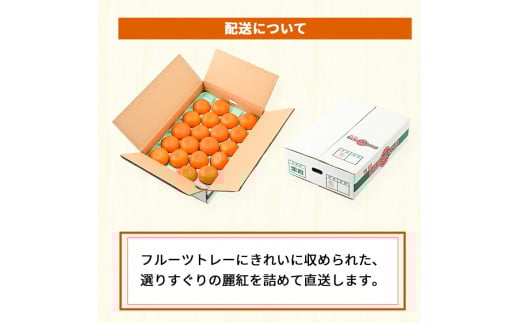 麗紅 （ れいこう ） 4kg / オレンジ 甘い 和歌山 有田 柑橘 ※2月中旬〜3月下旬に順次発送 【krw012-r-4】