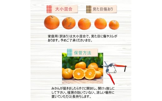 はっさく 10kg+250g（痛み補償分） 家庭用 光センサー / 八朔 訳あり 甘い 和歌山 有田 柑橘 ※1月上旬〜4月上旬頃に順次発送予定 ※北海道・沖縄・離島への配送不可 【ikd021-c-10B】