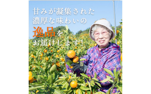 æç° ã¿ãã ç¹éž èµ€ç§ 5kg ã 嵿¥120幎 蟲家çŽé ã / æž©å·ã¿ãã æç°ã¿ãã çã ã®ãã èŽç é«çŽ åæå±± ææ© â»2026幎11æäžæ¬ïœ2027幎1æäžæ¬ã«é 次çºé ãisy004-gif-5Bã