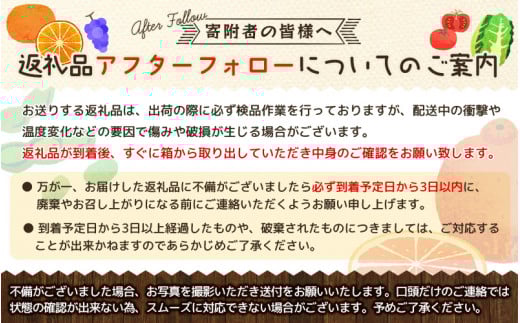 麗紅 （ れいこう ） 4kg / オレンジ 甘い 和歌山 有田 柑橘 ※2月中旬〜3月下旬に順次発送 【krw012-r-4】