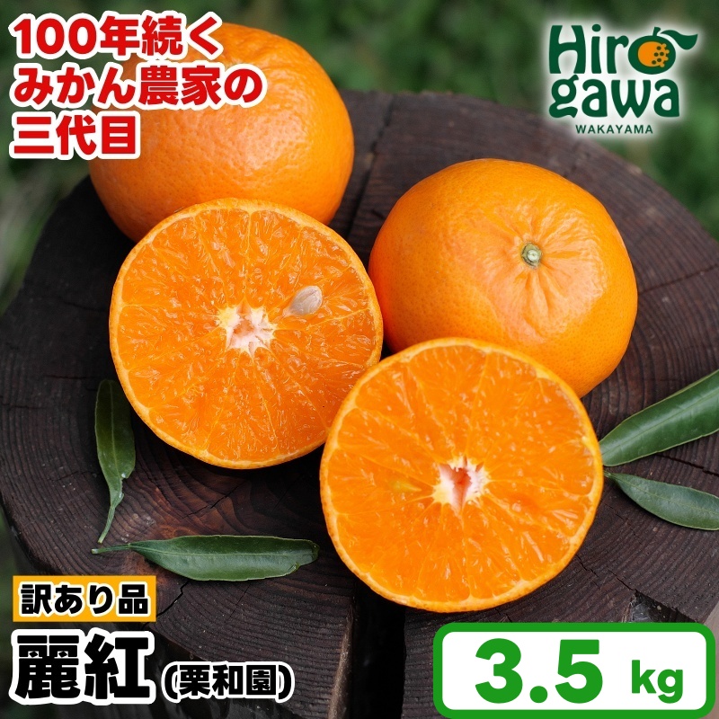 麗紅 れいこう 訳あり 3.5kg / オレンジ 甘い 家庭用 和歌山 有田 柑橘 ※2027年2月中旬〜3月下旬に順次発送 【krw012-c-3d5】