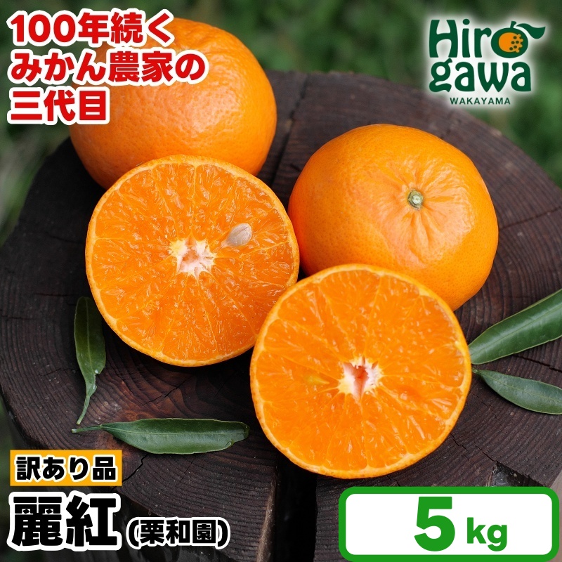 麗紅 れいこう 訳あり 5kg / オレンジ 甘い 家庭用 和歌山 有田 柑橘 ※2027年2月中旬〜3月下旬に順次発送 【krw012-c-5】