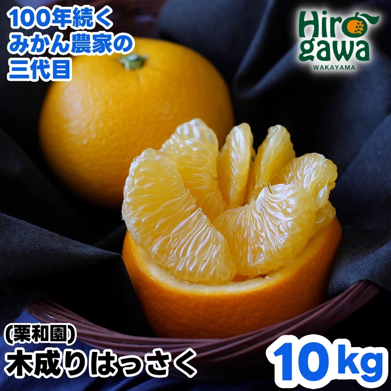 木成り はっさく 10kg サイズ混合 / 八朔 完熟 甘い 和歌山 柑橘 ※2027年3月中旬〜4月上旬に順次発送 【krw022-r-10】