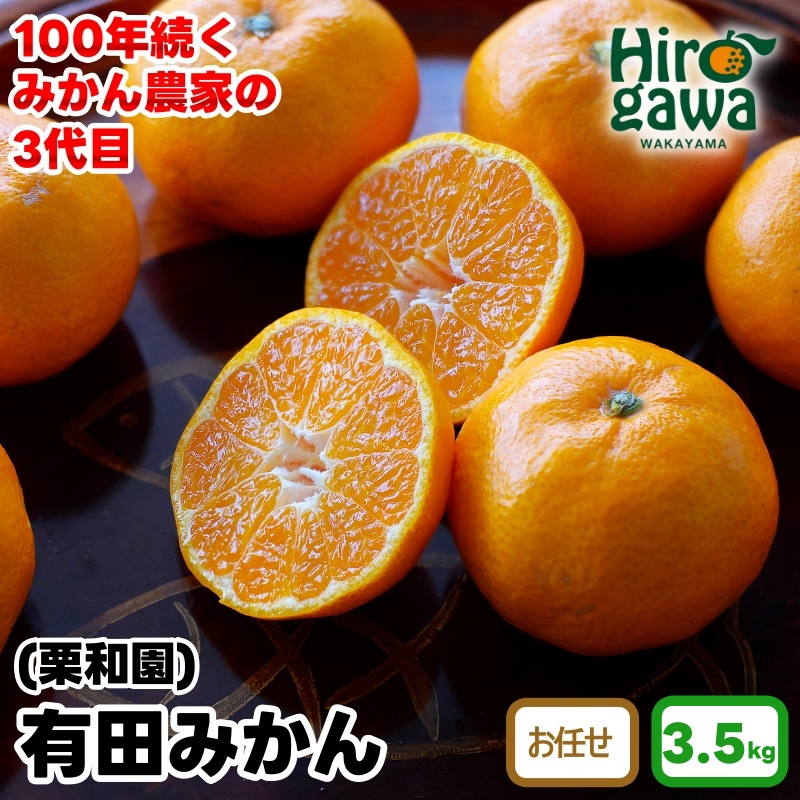 有田 みかん 3.5kg 栗和園 / 温州みかん 有田みかん 甘い 和歌山 柑橘 ※2026年11月上旬～12月下旬に順次発送 【krw004-r-3d5】