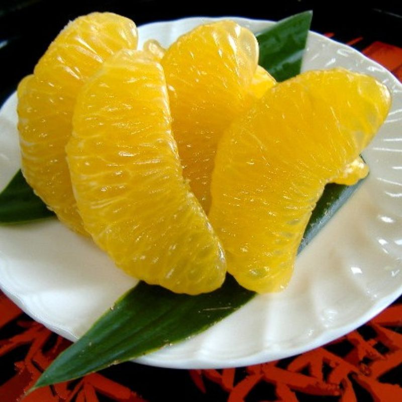 和歌山広川町産 さつきはっさく 約10kg 秀品 サイズおまかせ (Lまたは2Lいずれかお届け) ※2027年3月下旬から4月下旬に順次発送【sml022-satu-r-10】