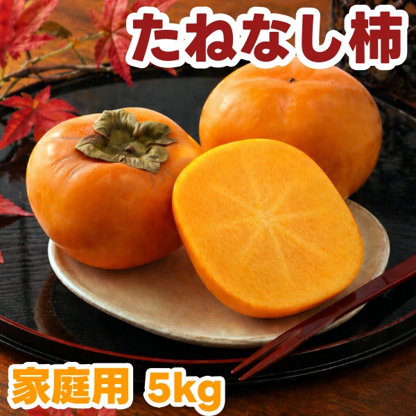 【ふるさと納税】 たねなし柿 5kg 家庭用 / 柿 刀根早生 平核無柿 富有柿 ※2026年9月下旬から11月上旬に順次発送 ※北海道・沖縄・離島への配送不可  【ikd504-c-5】