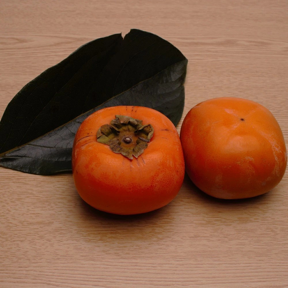 【ふるさと納税】 たねなし柿 5kg 家庭用 / 柿 刀根早生 平核無柿 富有柿 ※2026年9月下旬から11月上旬に順次発送 ※北海道・沖縄・離島への配送不可  【ikd504-c-5】